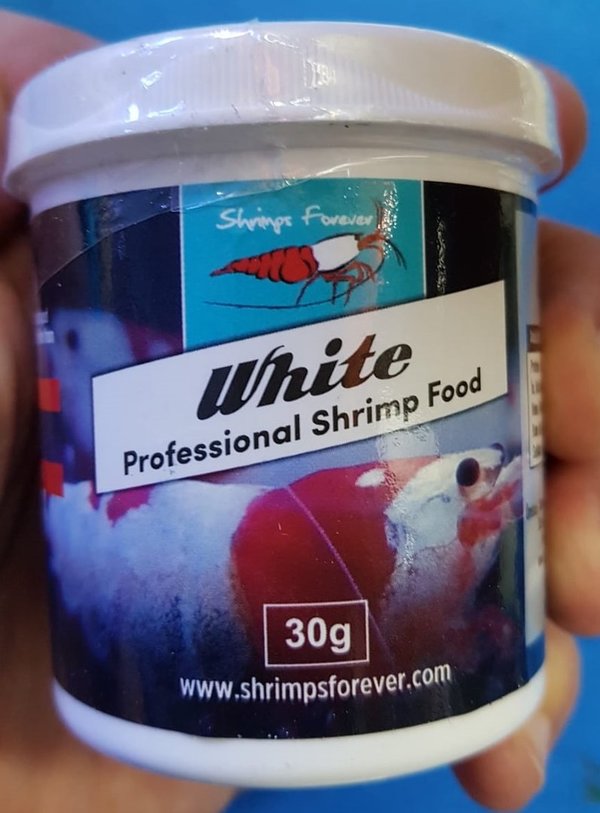 Shrimps Forever White