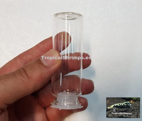 Söchting Oxydator MINI vial vidrio